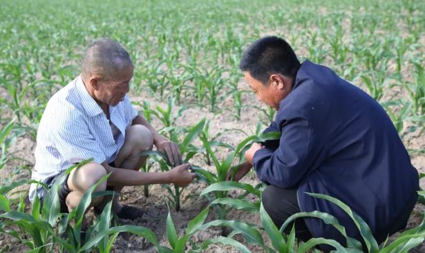 爭做新型農民 帶領村民致富