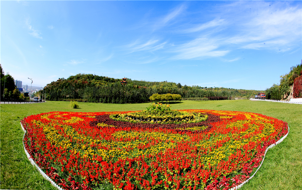 陽高泉森林公園